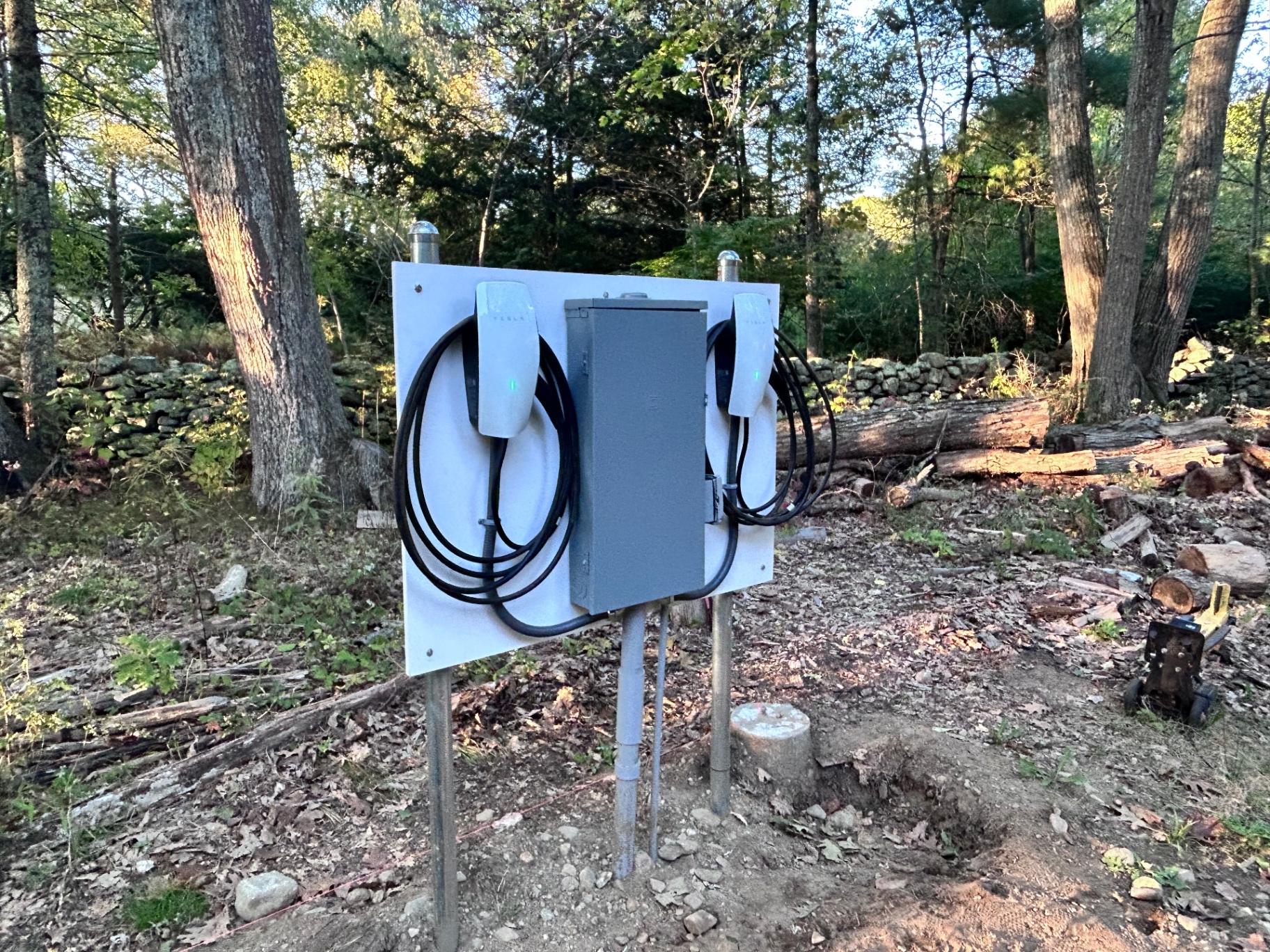 Dual electric vehicle charger station